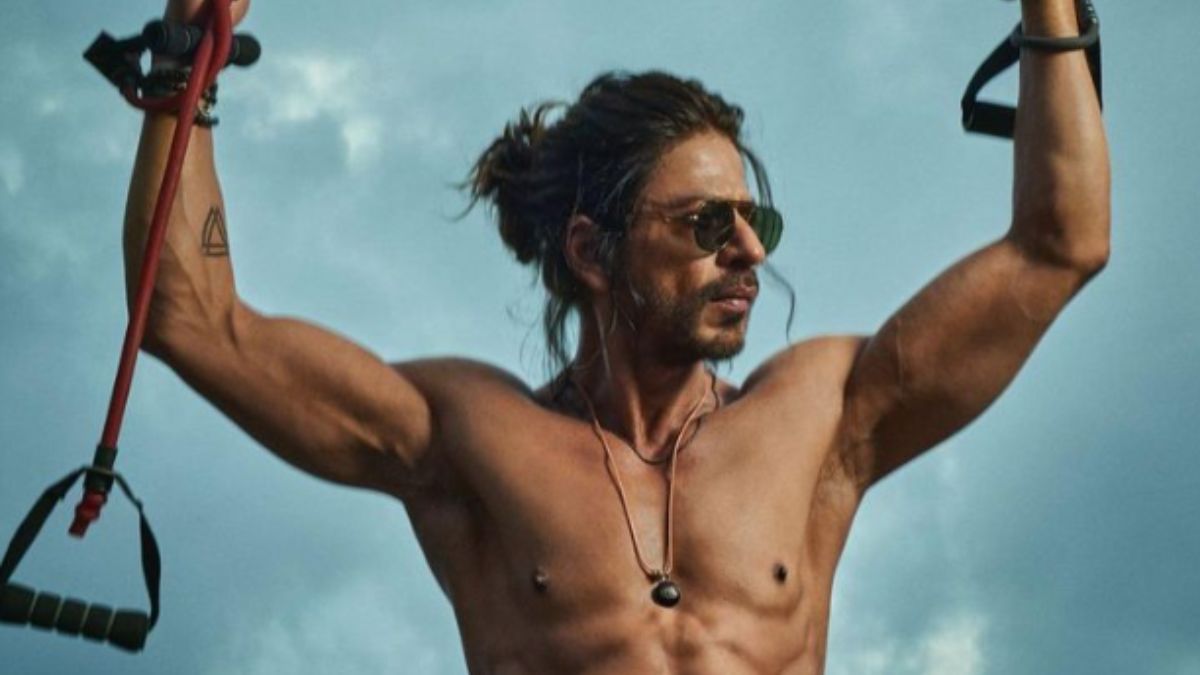 shah-rukh-khan-decided-to-exit-don-3-makers-looking-for-a-new-leading-man-report